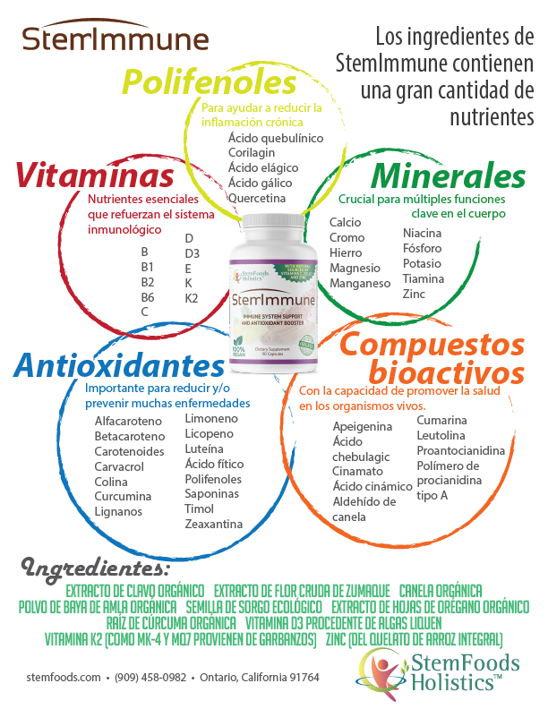 StemImmune flyer